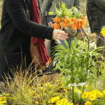 Marché aux plantes 2025